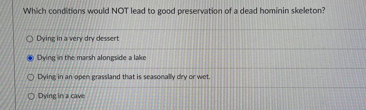 Which conditions would NOT lead to good preservation of a dead hominin skeleton?
O Dying in a very dry dessert
O Dying in the marsh alongside a lake
O Dying in an open grassland that is seasonally dry or wet.
O Dying in a cave
