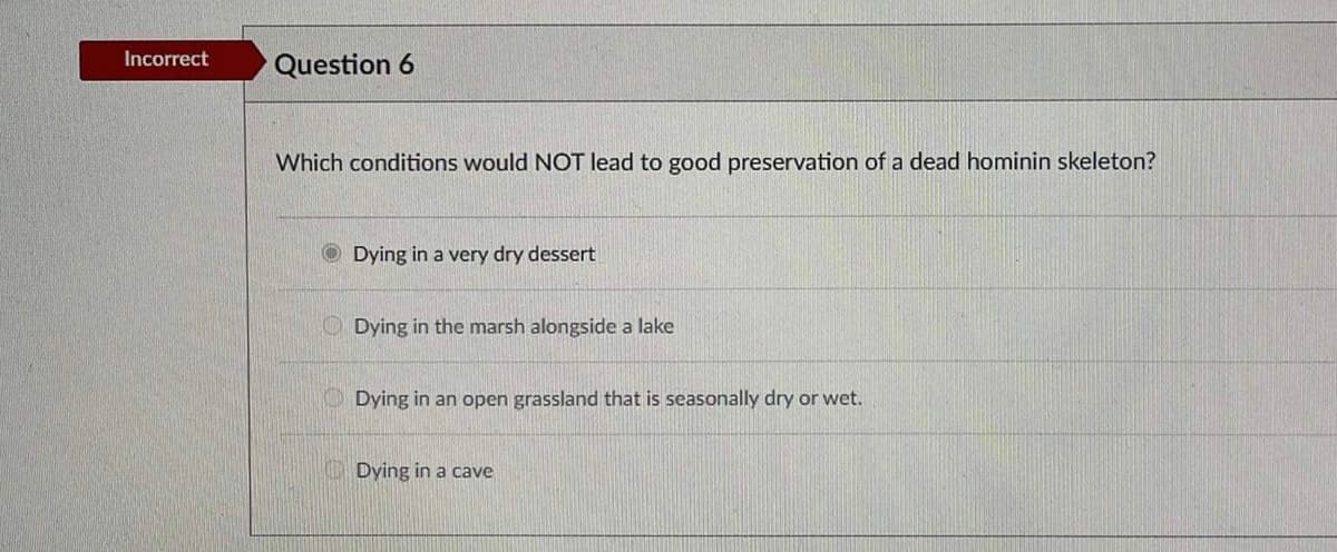 Incorrect
Question 6
Which conditions would NOT lead to good preservation of a dead hominin skeleton?
Dying in a very dry dessert
O Dying in the marsh alongside a lake
O Dying in an open grassland that is seasonally dry or wet.
O Dying in a cave
