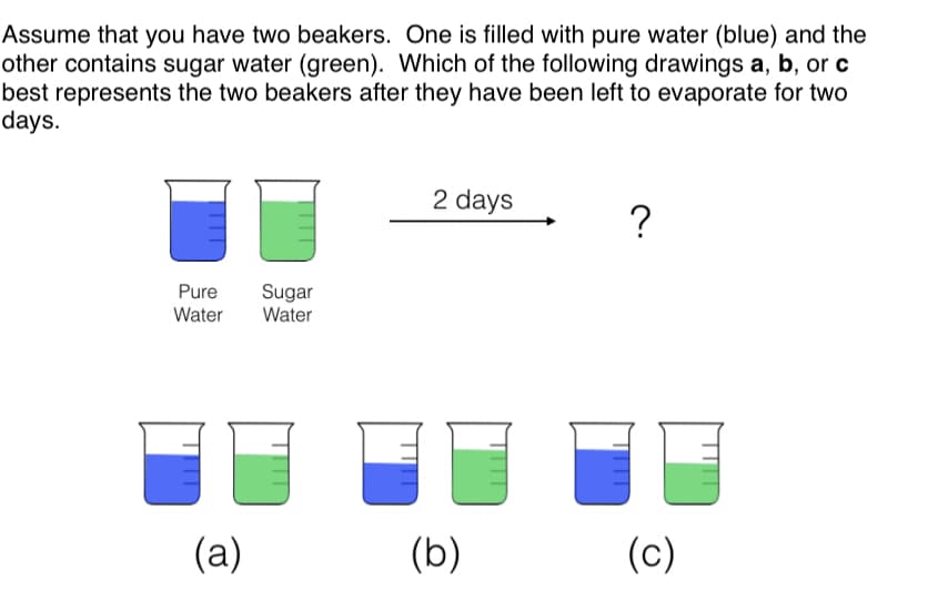 Assume that you have two beakers. One is filled with pure water (blue) and the
other contains sugar water (green). Which of the following drawings a, b, or c
best represents the two beakers after they have been left to evaporate for two
days.
2 days
?
Pure
Water
Sugar
Water
(a)
(b)
(c)
