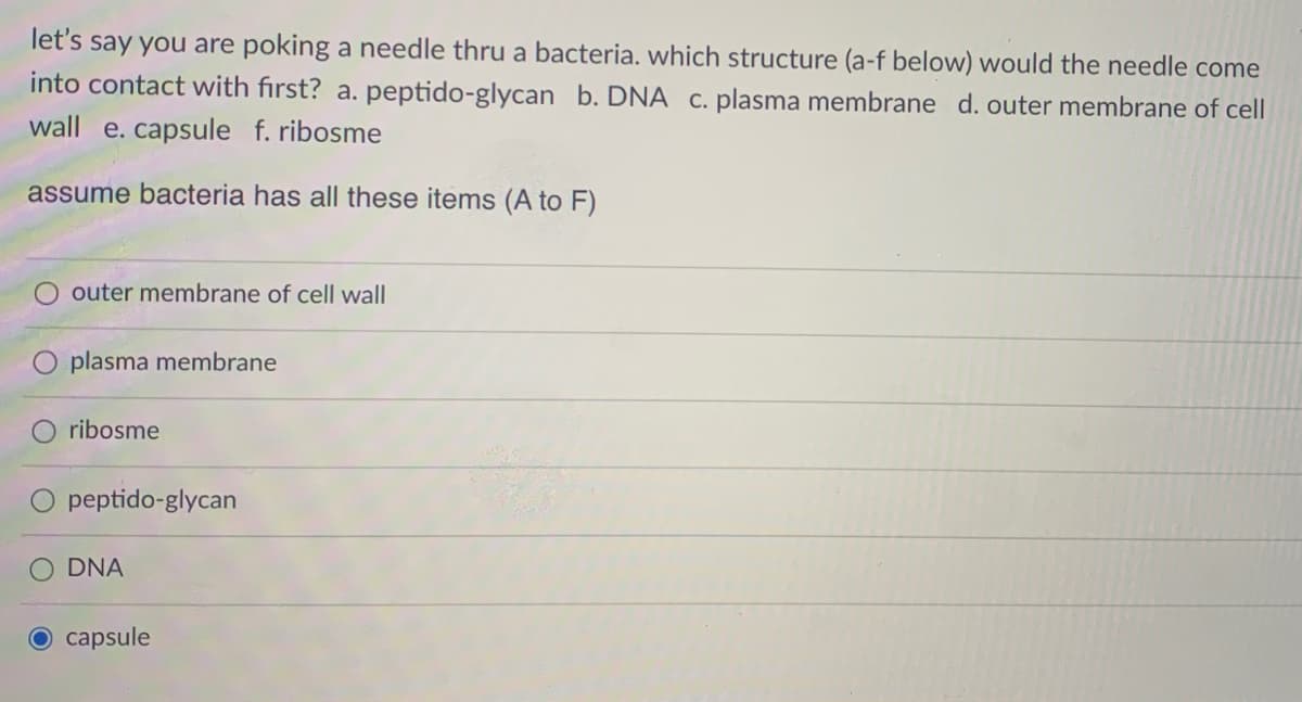 let's say you are poking a needle thru a bacteria. which structure (a-f below) would the needle come
into contact with first? a. peptido-glycan b. DNA c. plasma membrane d. outer membrane of cell
wall e. capsule f. ribosme
assume bacteria has all these items (A to F)
outer membrane of cell wall
plasma membrane
ribosme
O peptido-glycan
DNA
capsule
