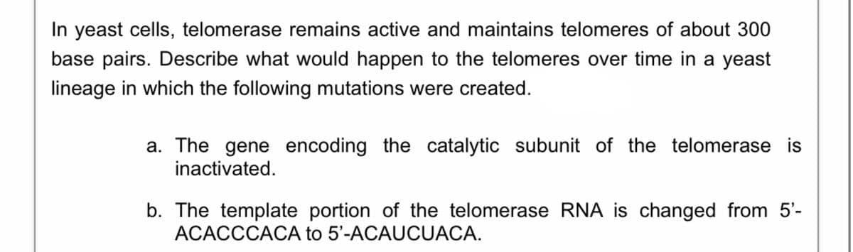 In yeast cells, telomerase remains active and maintains telomeres of about 300
base pairs. Describe what would happen to the telomeres over time in a yeast
lineage in which the following mutations were created.
a. The gene encoding the catalytic subunit of the telomerase is
inactivated.
b. The template portion of the telomerase RNA is changed from 5'-
ACACCCACA to 5'-ACAUCUACA.
