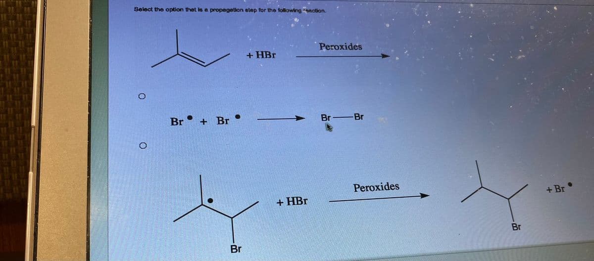 Select the option that is a propagation step for the following eaction.
Br+ Br
Br
+ HBr
+ HBr
Peroxides
Br-Br
Peroxides
Br
+ Br