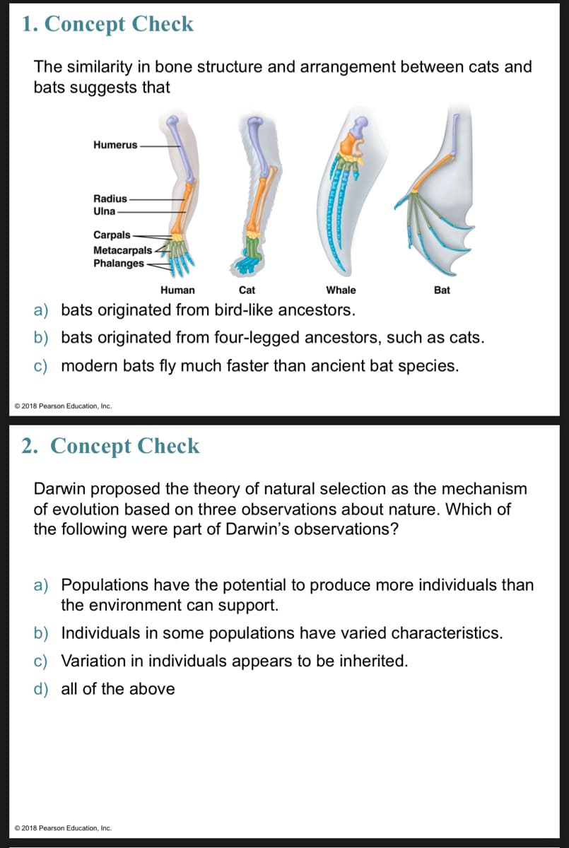 1. Concept Check
The similarity in bone structure and arrangement between cats and
bats suggests that
Humerus
Radius
Ulna
Carpals
Metacarpals
Phalanges
Human
Cat
Whale
Bat
a) bats originated from bird-like ancestors.
b) bats originated from four-legged ancestors, such as cats.
c) modern bats fly much faster than ancient bat species.
© 2018 Pearson Education, Inc.
2. Concept Check
Darwin proposed the theory of natural selection as the mechanism
of evolution based on three observations about nature. Which of
the following were part of Darwin's observations?
a) Populations have the potential to produce more individuals than
the environment can support.
b) Individuals in some populations have varied characteristics.
Variation in individuals appears to be inherited.
d) all of the above
© 2018 Pearson Education, Inc.
