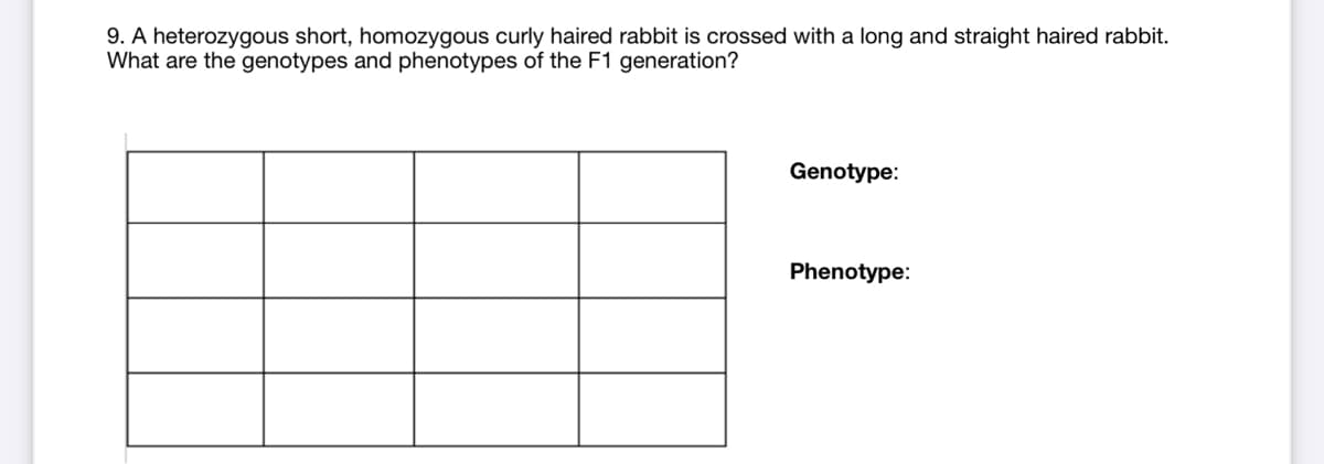 9. A heterozygous short, homozygous curly haired rabbit is crossed with a long and straight haired rabbit.
What are the genotypes and phenotypes of the F1 generation?
Genotype:
Phenotype:
