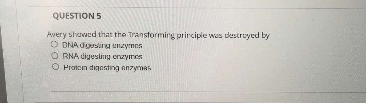QUESTION 5
Avery showed that the Transforming principle was destroyed by
O DNA digesting enzymes
O RNA digesting enzymes
O Protein digesting enzymes
