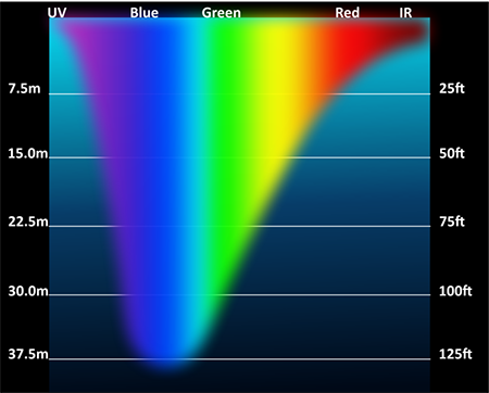 7.5m
UV
15.0m
22.5m
30.0m
37.5m
Blue
Green
Red
IR
25ft
50ft
75ft
100ft
125ft