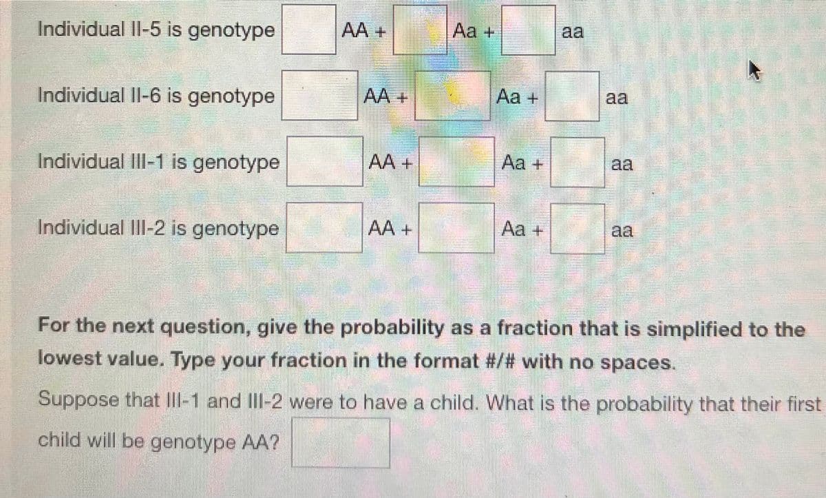 Individual II-5 is genotype
Individual II-6 is genotype
Individual III-1 is genotype
Individual III-2 is genotype
AA +
AA +
AA +
Aa +
Aa +
Aa +
aa
aa
For the next question, give the probability as a fraction that is simplified to the
lowest value. Type your fraction in the format #/# with no spaces.
Suppose that III-1 and III-2 were to have a child. What is the probability that their first
child will be genotype AA?