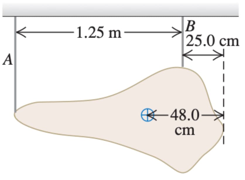 1.25 m
25.0 cm
A
48.0–
cm

