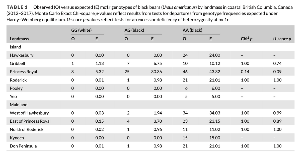 TABLE 1 Observed (O) versus expected (E) mc1r genotypes of black bears (Ursus americanus) by landmass in coastal British Columbia, Canada
(2012-2017). Monte Carlo Exact Chi-square p-values reflect results from tests for departures from genotype frequencies expected under
Hardy-Weinberg equilibrium. U-score p-values reflect tests for an excess or deficiency of heterozygosity at mc1r
Landmass
GG (white)
E
AG (black)
E
AA (black)
E
Chi² p
U-score p
Island
Hawkesbury
0
0.00
0
0.00
24
24.00
Gribbell
1
1.13
7
6.75
10
10.12
1.00
0.74
Princess Royal
8
5.32
25
30.36
46
43.32
0.14
0.09
Roderick
0.01
1
0.98
21
21.01
1.00
1.00
Pooley
0
0.00
0
0.00
6
6.00
Yeo
0
0.00
0
0.00
5
5.00
Mainland
West of Hawkesbury
0
0.03
2
1.94
East of Princess Royal
0
0.15
4
3.70
32
34
34.03
1.00
0.99
23
23.15
1.00
0.89
North of Roderick
0.02
1
0.96
11
11.02
1.00
1.00
Kynoch
0
0.00
0
0.00
15
15.00
Don Peninsula
0
0.01
1
0.98
21
21.01
1.00
1.00