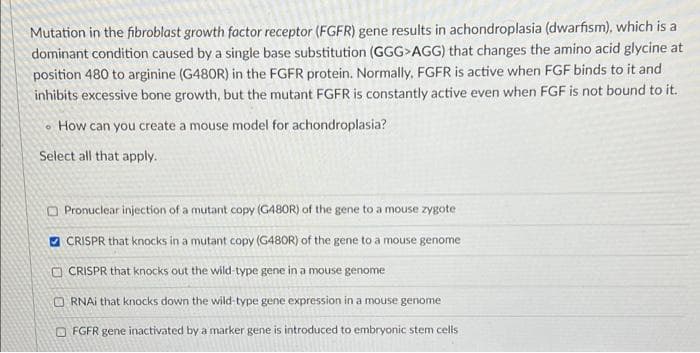 Mutation in the fibroblast growth factor receptor (FGFR) gene results in achondroplasia (dwarfism), which is a
dominant condition caused by a single base substitution (GGG>AGG) that changes the amino acid glycine at
position 480 to arginine (G480R) in the FGFR protein. Normally, FGFR is active when FGF binds to it and
inhibits excessive bone growth, but the mutant FGFR is constantly active even when FGF is not bound to it.
o How can you create a mouse model for achondroplasia?
Select all that apply.
OPronuclear injection of a mutant copy (G48OR) of the gene to a mouse zygote
V CRISPR that knocks in a mutant copy (G480R) of the gene to a mouse genome
O CRISPR that knocks out the wild-type gene in a mouse genome
O RNAI that knocks down the wild-type gene expression in a mouse genome
O FGFR gene inactivated by a marker gene is introduced to embryonic stem cells

