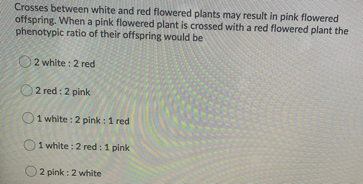 Crosses between white and red flowered plants may result in pink flowered
offspring. When a pink flowered plant is crossed with a red flowered plant the
phenotypic ratio of their offspring would be
O 2 white : 2 red
2 red : 2 pink
O1 white : 2 pink : 1 red
O1 white : 2 red : 1 pink
2 pink : 2 white
