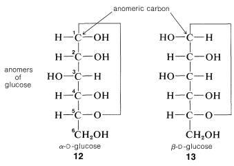 anomeric carbon
H-C-OH
HO-C-H
H c-OH
H-C-OH
апотers
HO-C-H
но-с—н
of
glucose
HC-OH
H-C-OH
H-c-o-
H-C-0-
CH,OH
ČHHOH
a-D-glucose
12
В-D-glucose
13
