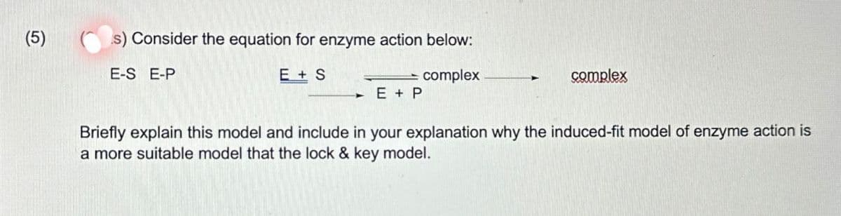 (5)
s) Consider the equation for enzyme action below:
E-S E-P
E+S
complex
E+P
complex
Briefly explain this model and include in your explanation why the induced-fit model of enzyme action is
a more suitable model that the lock & key model.