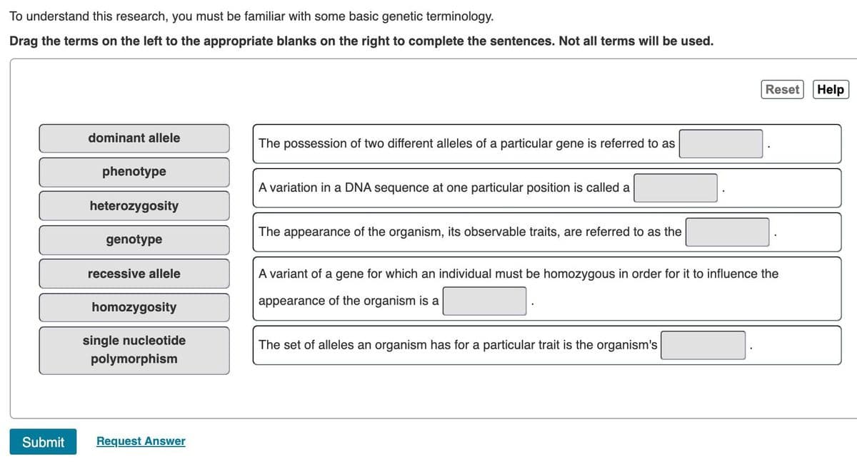 To understand this research, you must be familiar with some basic genetic terminology.
Drag the terms on the left to the appropriate blanks on the right to complete the sentences. Not all terms will be used.
dominant allele
phenotype
The possession of two different alleles of a particular gene is referred to as
Reset Help
A variation in a DNA sequence at one particular position is called a
heterozygosity
genotype
recessive allele
homozygosity
single nucleotide
polymorphism
The appearance of the organism, its observable traits, are referred to as the
A variant of a gene for which an individual must be homozygous in order for it to influence the
appearance of the organism is a
The set of alleles an organism has for a particular trait is the organism's
Submit
Request Answer