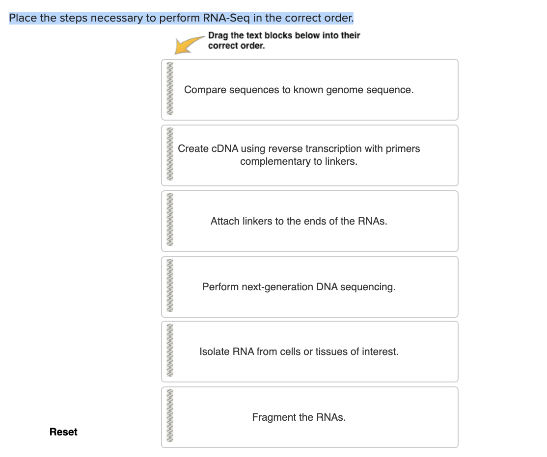 Place the steps necessary to perform RNA-Seq in the correct order.
Drag the text blocks below into their
correct order.
Reset
MAAAAAAAAAKK
MAAAAAAAAAAM
Compare sequences to known genome sequence.
Create cDNA using reverse transcription with primers
complementary to linkers.
Attach linkers to the ends of the RNAs.
Perform next-generation DNA sequencing.
Isolate RNA from cells or tissues of interest.
Fragment the RNAs.