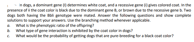 In dogs, a dominant gene (I) determines white coat, and a recessive gene (i) gives colored coat. In the
presence of ii the coat color is black due to the dominant gene B, or brown due to the recessive gene b. Two
dogs both having the Bbli genotype were mated. Answer the following questions and show complete
solutions to support your answers. Use the branching method whenever applicable.
What is the phenotypic ratio of the offspring?
What type of gene interaction is exhibited by the coat color in dogs?
What would be the probability of getting dogs that are pure-breeding for a black coat color?
a.
b.
C.
