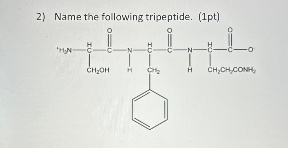 2) Name the following tripeptide. (1pt)
*H3N-
CH₂OH
H
CH2
CH2CH2CONH₂