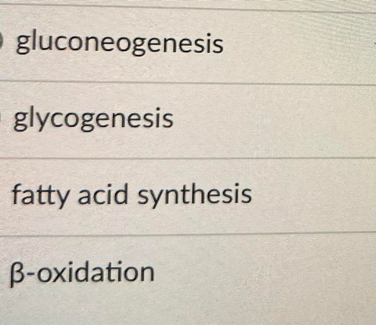 gluconeogenesis
glycogenesis
fatty acid synthesis
B-oxidation
