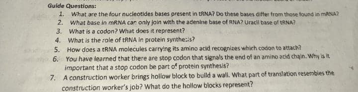 Guide Questions:
What are the four nucleotides bases present in TRNA? Do these bases differ from those found in MRNA?
What base in mRNA car only join with the adenine base of RNA? Uracil base of tRNA?
3. What is a codon? What does it represent?
4. What is the role of TRNA In protein synthe:is?
5. How does a tRNA molecules carrying its amino acid recognizes which codon to attach?
6. You have learned that there are stop çodon that signals the end of an amino acid chain. Why is it
important that a stop codon be part of protein synthesis?
7. A construction worker brings hollow block to bulld a wall. What part of translation resembles the
construction worker's job? What do the hollow blocks represent?
1.
2.
