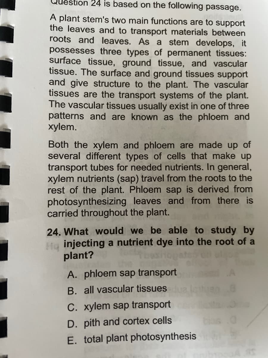 QUėstion 24 is based on the following passage.
A plant stem's two main functions are to support
the leaves and to transport materials between
roots and leaves. As a stem develops, it
possesses three types of permanent tissues:
surface tissue, ground tissue, and vascular
tissue. The surface and ground tissues support
and give structure to the plant. The vascular
tissues are the transport systems of the plant.
The vascular tissues usually exist in one of three
patterns and are known as the phloem and
xylem.
Both the xylem and phloem are made up of
several different types of cells that make up
transport tubes for needed nutrients. In general,
xylem nutrients (sap) travel from the roots to the
rest of the plant. Phloem sap is derived from
photosynthesizing leaves and from there is
carried throughout the plant.
24. What would we be able to study by
Hg injecting a nutrient dye into the root of a
plant?
A. phloem sap transport
B. all vascular tissues
C. xylem sap transport
D. pith and cortex cells
E. total plant photosynthesis
