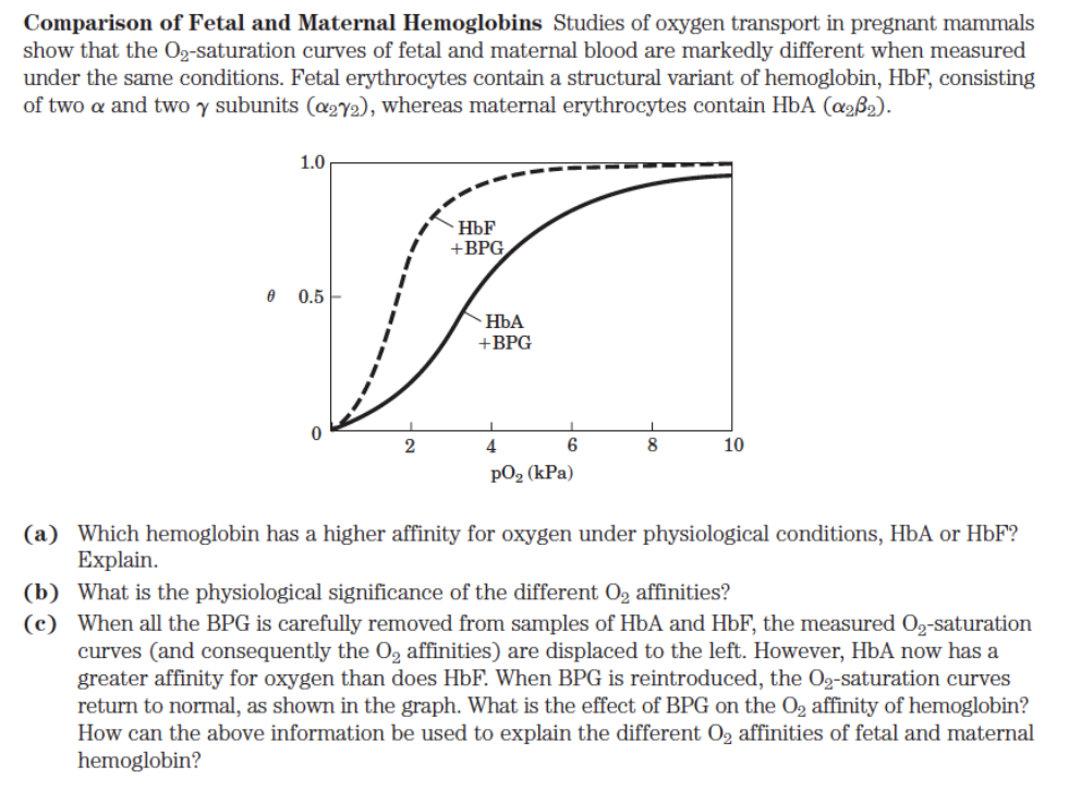 Comparison of Fetal and Maternal Hemoglobins Studies of oxygen transport in pregnant mammals
show that the O₂-saturation curves of fetal and maternal blood are markedly different when measured
under the same conditions. Fetal erythrocytes contain a structural variant of hemoglobin, HbF, consisting
of two a and two y subunits (a272), whereas maternal erythrocytes contain HbA (α₂ß₂).
1.0
(b)
(c)
0 0.5
0
2
HbF
+BPG
HbA
+BPG
4
6
po₂ (kPa)
1
8
10
(a) Which hemoglobin has a higher affinity for oxygen under physiological conditions, HbA or HbF?
Explain.
What is the physiological significance of the different O₂ affinities?
When all the BPG is carefully removed from samples of HbA and HbF, the measured O₂-saturation
curves (and consequently the O₂ affinities) are displaced to the left. However, HbA now has a
greater affinity for oxygen than does HbF. When BPG is reintroduced, the O₂-saturation curves
return to normal, as shown in the graph. What is the effect of BPG on the O₂ affinity of hemoglobin?
How can the above information be used to explain the different O₂ affinities of fetal and maternal
hemoglobin?