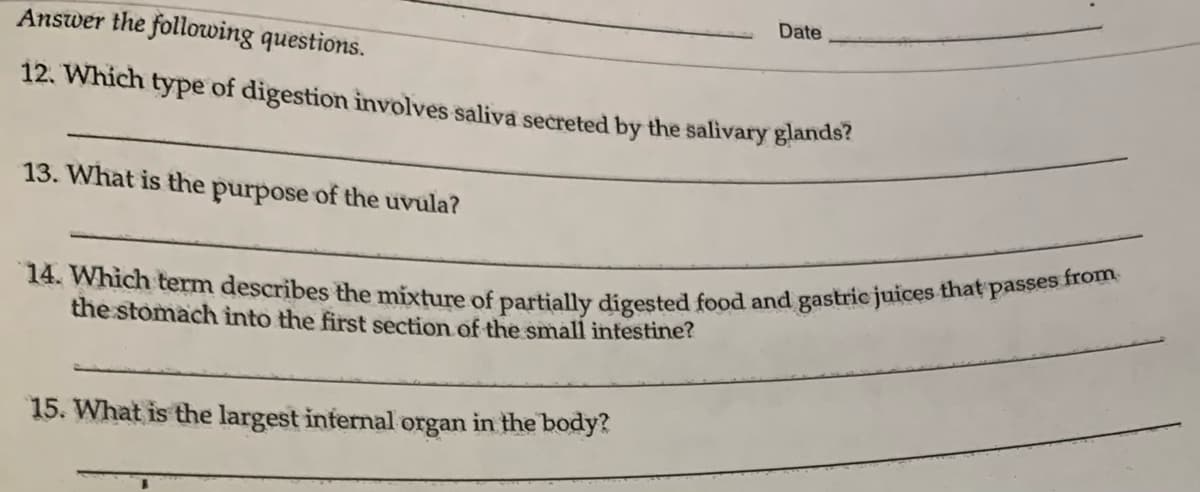 Answer the following questions.
12. Which type of digestion involves saliva secreted by the salivary glands?
13. What is the purpose of the uvula?
Date
14. Which term describes the mixture of partially digested food and gastric juices that passes from
the stomach into the first section of the small intestine?
15. What is the largest internal organ in the body?