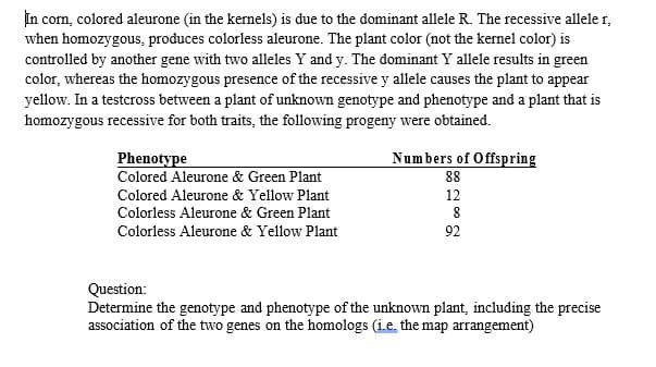 In com, colored aleurone (in the kernels) is due to the dominant allele R. The recessive allele r,
when homozygous, produces colorless aleurone. The plant color (not the kernel color) is
controlled by another gene with two alleles Y and y. The dominant Y allele results in green
color, whereas the homozygous presence of the recessive y allele causes the plant to appear
yellow. In a testcross between a plant of unknown genotype and phenotype and a plant that is
homozygous recessive for both traits, the following progeny were obtained.
Numbers of Offspring
Phenotype
Colored Aleurone & Green Plant
88
Colored Aleurone & Yellow Plant
12
Colorless Aleurone & Green Plant
8
Colorless Aleurone & Yellow Plant
92
Question:
Determine the genotype and phenotype of the unknown plant, including the precise
association of the two genes on the homologs (i.e. the map arrangement)

