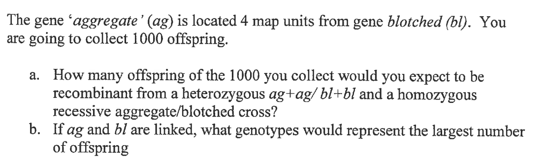 The gene 'aggregate' (ag) is located 4 map units from gene blotched (bl). You
are going to collect 1000 offspring.
a. How many offspring of the 1000 you collect would you expect to be
recombinant from a heterozygous ag+ag/ bl+bl and a homozygous
recessive aggregate/blotched cross?
b. If ag and bl are linked, what genotypes would represent the largest number
of offspring
