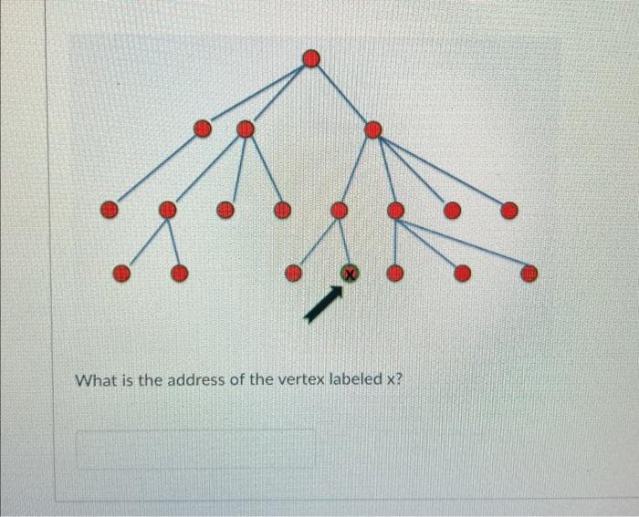 What is the address of the vertex labeled x?