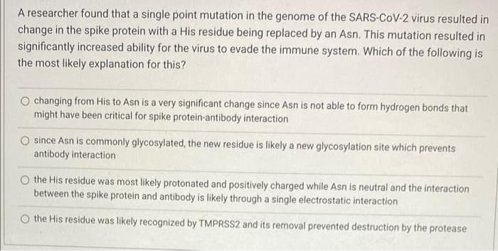 A researcher found that a single point mutation in the genome of the SARS-CoV-2 virus resulted in
change in the spike protein with a His residue being replaced by an Asn. This mutation resulted in
significantly increased ability for the virus to evade the immune system. Which of the following is
the most likely explanation for this?
O changing from His to Asn is a very significant change since Asn is not able to form hydrogen bonds that
might have been critical for spike protein-antibody interaction
O since Asn is commonly glycosylated, the new residue is likely a new glycosylation site which prevents
antibody interaction
O the His residue was most likely protonated and positively charged while Asn is neutral and the interaction
between the spike protein and antibody is likely through a single electrostatic interaction
the His residue was likely recognized by TMPRSS2 and its removal prevented destruction by the protease