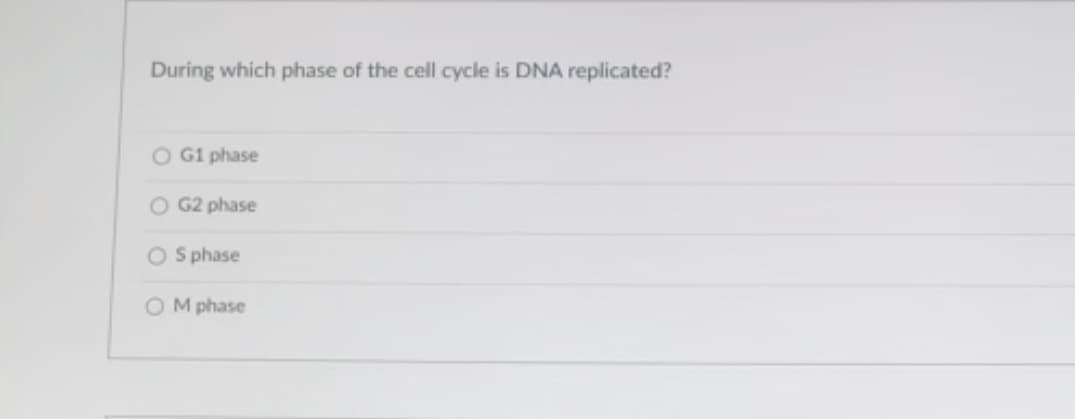 During which phase of the cell cycle is DNA replicated?
O G1 phase
O G2 phase
O S phase
O M phase
