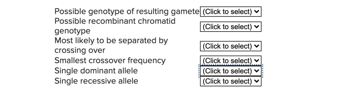 Possible genotype of resulting gamete (Click to select)
Possible recombinant chromatid
(Click to select)
genotype
Most likely to be separated by
crossing over
Smallest crossover frequency
Single dominant allele
Single recessive allele
(Click to select)
(Click to select) v
(Click to select) ♥
(Click to select) ♥

