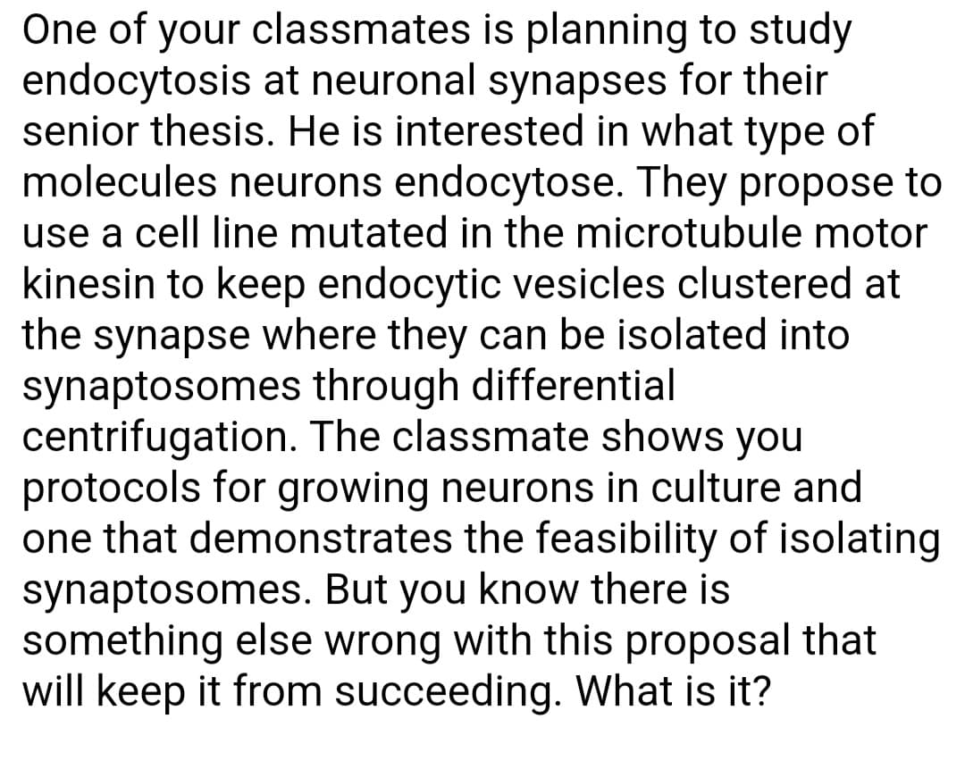One of your classmates is planning to study
endocytosis at neuronal synapses for their
senior thesis. He is interested in what type of
molecules neurons endocytose. They propose to
use a cell line mutated in the microtubule motor
kinesin to keep endocytic vesicles clustered at
the synapse where they can be isolated into
synaptosomes through differential
centrifugation. The classmate shows you
protocols for growing neurons in culture and
one that demonstrates the feasibility of isolating
synaptosomes. But you know there is
something else wrong with this proposal that
will keep it from succeeding. What is it?
