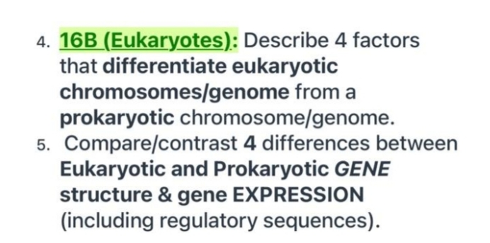 4. 16B (Eukaryotes): Describe 4 factors
that differentiate eukaryotic
chromosomes/genome from a
prokaryotic chromosome/genome.
5. Compare/contrast 4 differences between
Eukaryotic and Prokaryotic GENE
structure & gene EXPRESSION
(including regulatory sequences).
