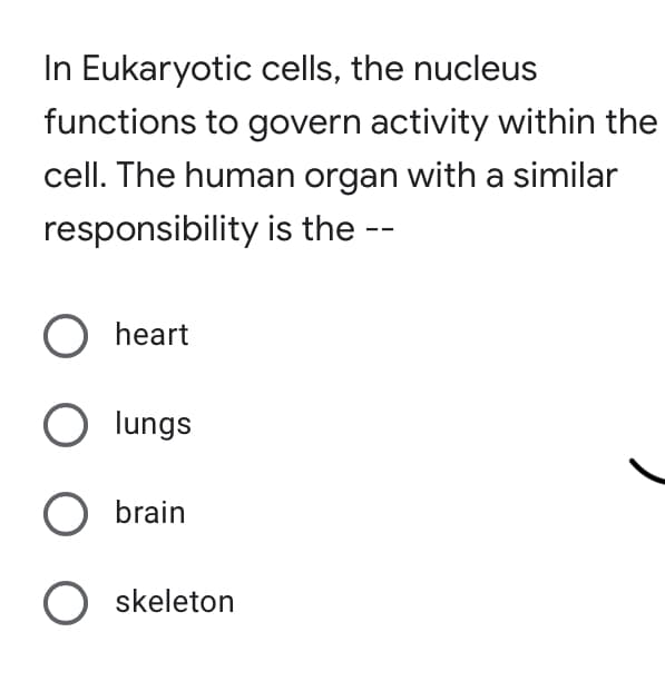 In Eukaryotic cells, the nucleus
functions to govern activity within the
cell. The human organ with a similar
responsibility is the --
heart
lungs
O brain
O skeleton

