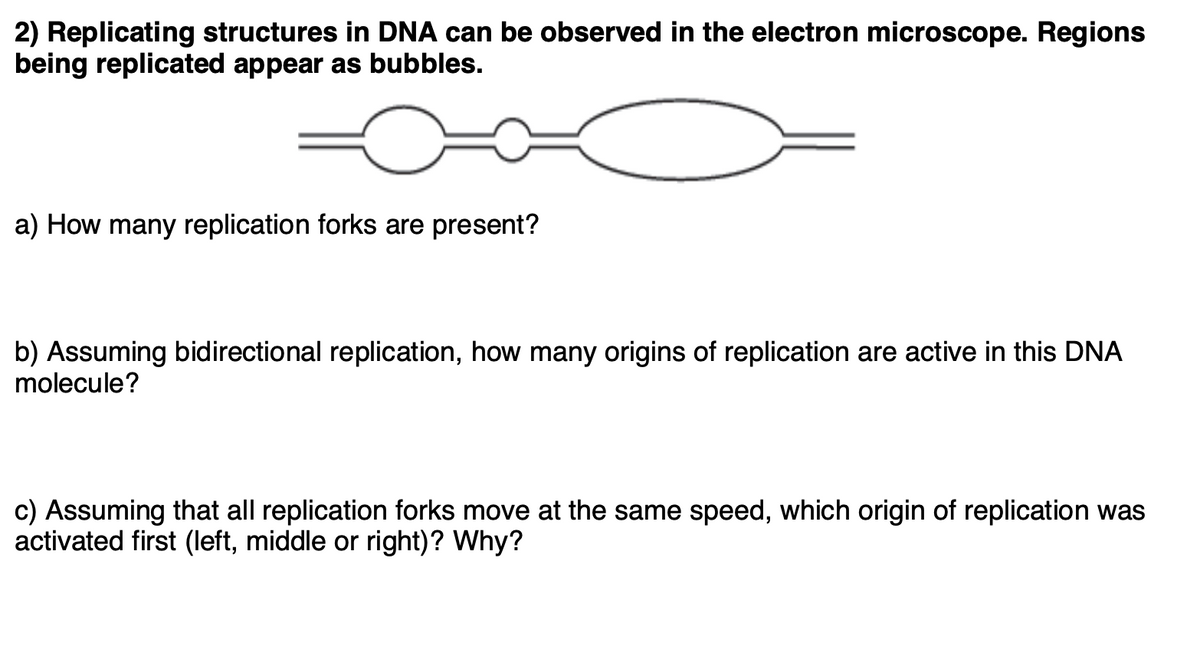 2) Replicating structures in DNA can be observed in the electron microscope. Regions
being replicated appear as bubbles.
a) How many replication forks are present?
b) Assuming bidirectional replication, how many origins of replication are active in this DNA
molecule?
c) Assuming that all replication forks move at the same speed, which origin of replication was
activated first (left, middle or right)? Why?
