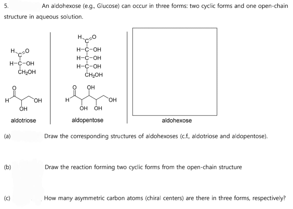 An aldohexose (e.g., Glucose) can occur in three forms: two cyclic forms and one open-chain
structure in aqueous solution.
5.
H-C-OH
H
(a)
н-сто
(b)
(c)
CH₂OH
OH
ОН
aldotriose
H
H-C=O
H-C-OH
H-C-OH
H-C-OH
CH₂OH
OH
OH
OH OH
aldopentose
Draw the corresponding structures of aldohexoses (c.f., aldotriose and aldopentose).
aldohexose
Draw the reaction forming two cyclic forms from the open-chain structure
How many asymmetric carbon atoms (chiral centers) are there in three forms, respectively?