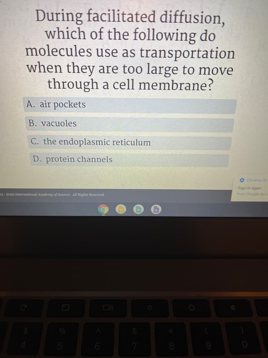 During facilitated diffusion,
which of the following do
molecules use as transportation
when they are too large to move
through a cell membrane?
A. air pockets
B. vacuoles
C. the endoplasmic reticulum
D. protein channels
O Chrome OS
Sign-in again
03-2022 International Academy of Science. All Rights Reserved.
Your Google Ac
8
