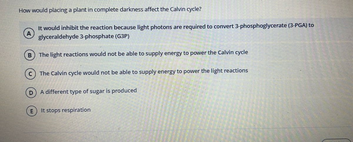 How would placing a plant in complete darkness affect the Calvin cycle?
A
It would inhibit the reaction because light photons are required to convert 3-phosphoglycerate (3-PGA) to
glyceraldehyde 3-phosphate (G3P)
B
C) The Calvin cycle would not be able to supply energy to power the light reactions
D
The light reactions would not be able to supply energy to power the Calvin cycle
E
A different type of sugar is produced
It stops respiration