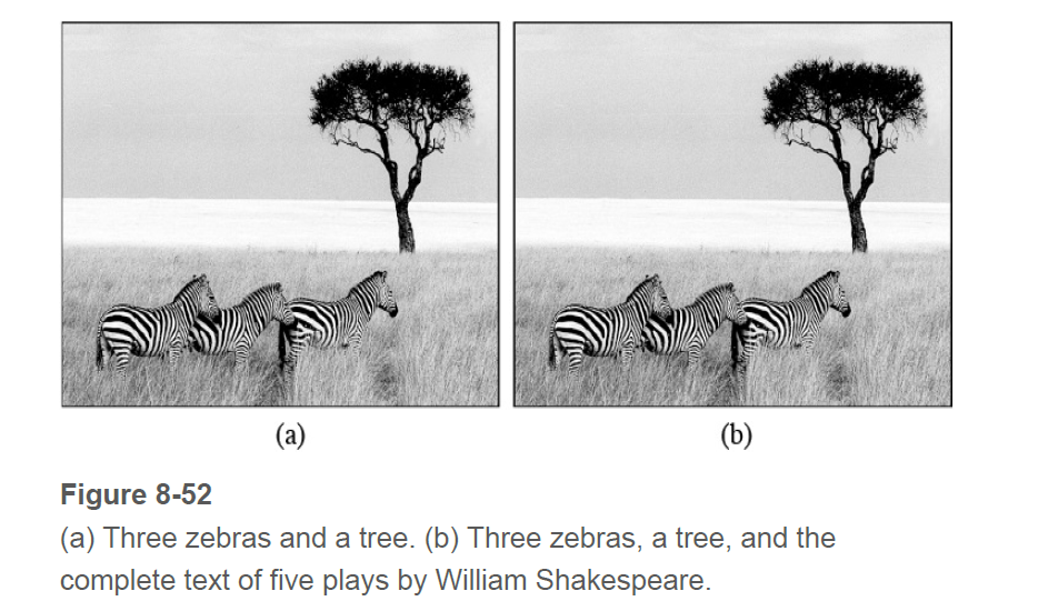 (a)
(b)
Figure 8-52
(a) Three zebras and a tree. (b) Three zebras, a tree, and the
complete text of five plays by William Shakespeare.