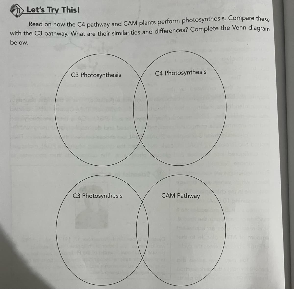 Let's Try This!
Read on how the C4 pathway and CAM plants perform photosynthesis. Compare these
with the C3 pathway. What are their similarities and differences? Complete the Venn diagram
below.
C3 Photosynthesis
C3 Photosynthesis
C4 Photosynthesis
CAM Pathway
ar sig of
1657