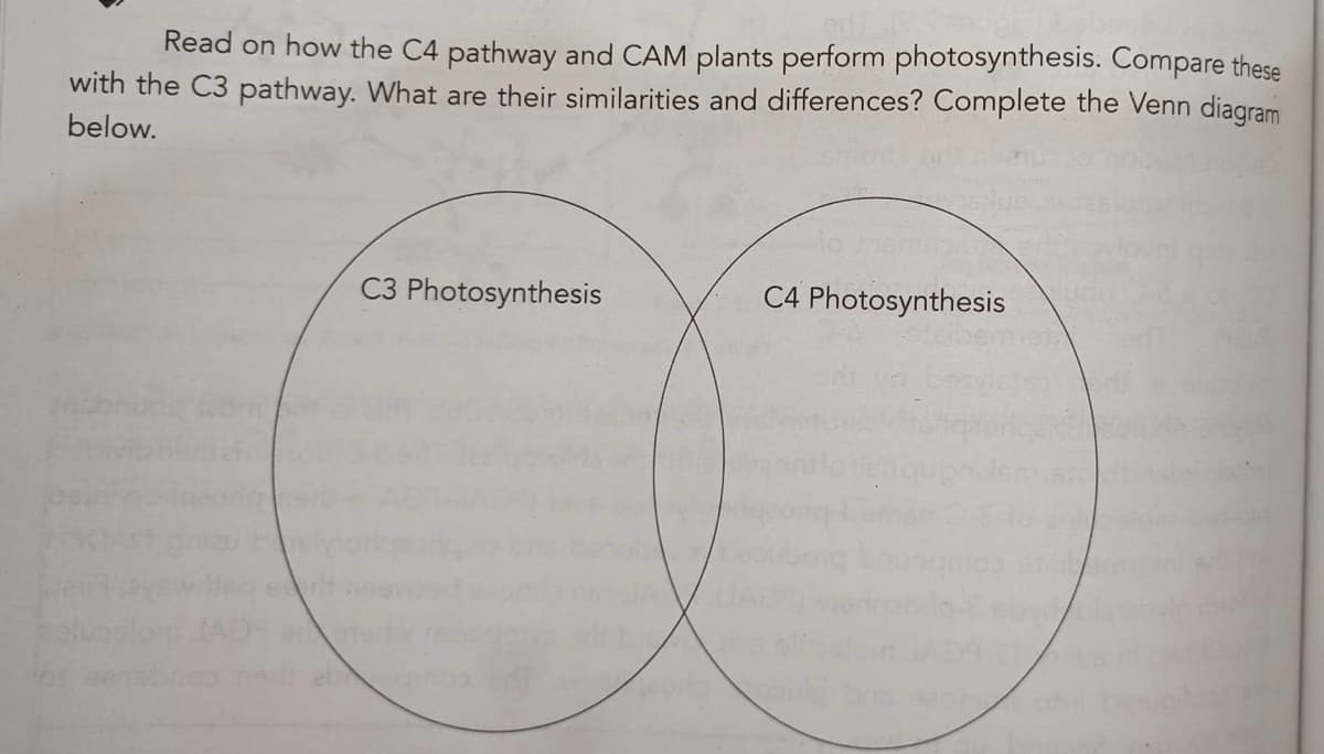 Read on how the C4 pathway and CAM plants perform photosynthesis. Compare these
with the C3 pathway. What are their similarities and differences? Complete the Venn diagram
below.
C3 Photosynthesis
Georg
C4 Photosynthesis