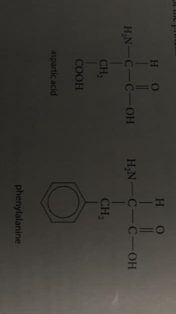 HO
H₂N-C-C-OH
CH₂
COOH
aspartic acid
H
O
H₂N-C-C-OH
CH₂
phenylalanine