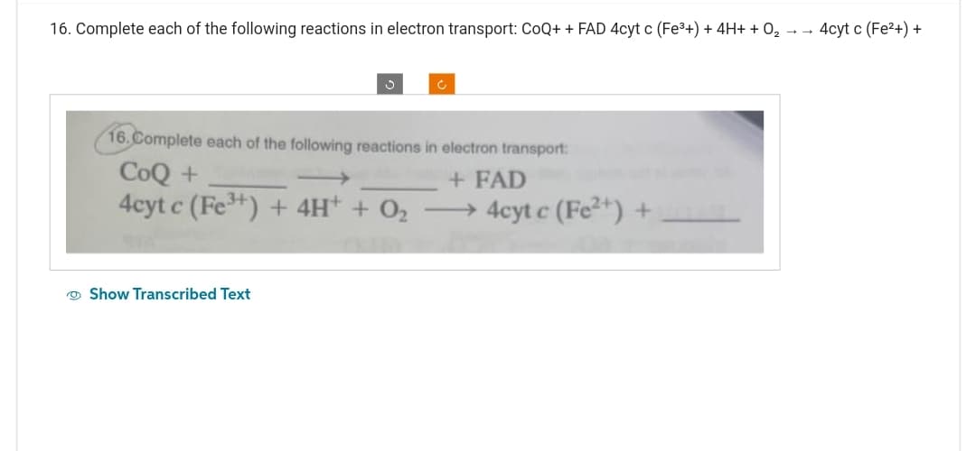 16. Complete each of the following reactions in electron transport: CoQ++ FAD 4cyt c (Fe³+) + 4H+ + O₂
16. Complete each of the following reactions in electron transport:
CoQ+
+ FAD
4cyt c (Fe³+) + 4H+ + O₂
→→→→4cyt c (Fe²+) +
Show Transcribed Text
→ 4cyt c (Fe²+) +