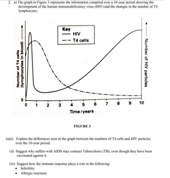 2. a) The graph in Figure 3 represents the information complied over a 10-year period showing the
development of the human immunodeficiency virus (HIV) and the changes in the number of T4
lymphocytes.
Key
HIV
T4 cells
---
5
7 8 9 10
1
2
3
4
Time/years
FIGURE 3
(a)(i) Explain the differences seen in the graph between the numbers of T4 cells and HIV particles
over the 10-year period.
(ii) Suggest why suffers with AlIDS may contract Tuberculosis (TB), even though they have been
vaccinated against it.
(iii) Suggest how the immune response plays a role in the following:
Infertility
• Allergic reactions
Number of T4 cells
(lymphocytes in blood)
Number of HIV particles
