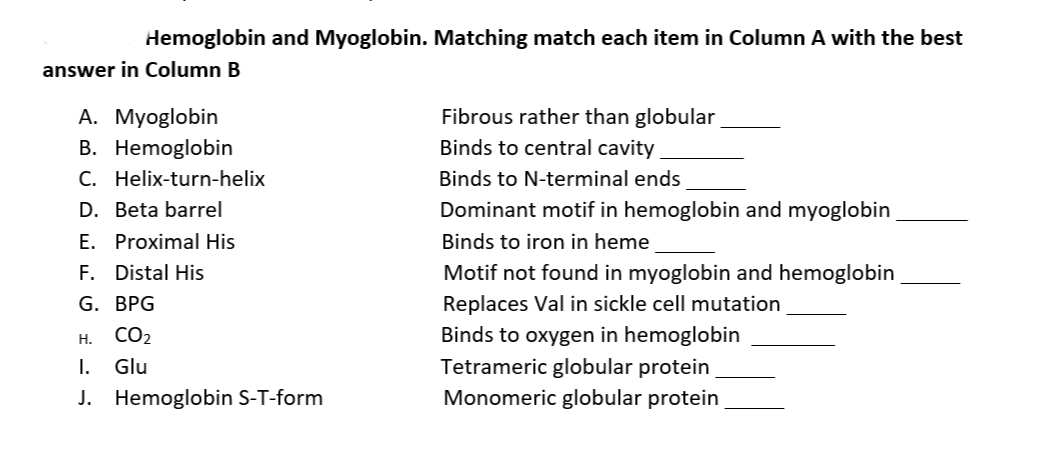 Hemoglobin and Myoglobin. Matching match each item in Column A with the best
answer in Column B
A. Myoglobin
B. Hemoglobin
C. Helix-turn-helix
D. Beta barrel
E. Proximal His
F. Distal His
G. BPG
H.
CO₂
I. Glu
J. Hemoglobin S-T-form
Fibrous rather than globular
Binds to central cavity
Binds to N-terminal ends
Dominant motif in hemoglobin and myoglobin
Binds to iron in heme
Motif not found in myoglobin and hemoglobin
Replaces Val in sickle cell mutation
Binds to oxygen in hemoglobin
Tetrameric globular protein
Monomeric globular protein