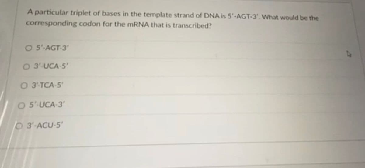 A particular triplet of bases in the template strand of DNA is 5'-AGT-3'. What would be the
corresponding codon for the mRNA that is transcribed?
O 5'-AGT-3'
O 3'-UCA S
O 3'TCA-5
O 5'UCA-3'
O3 ACU-5'
