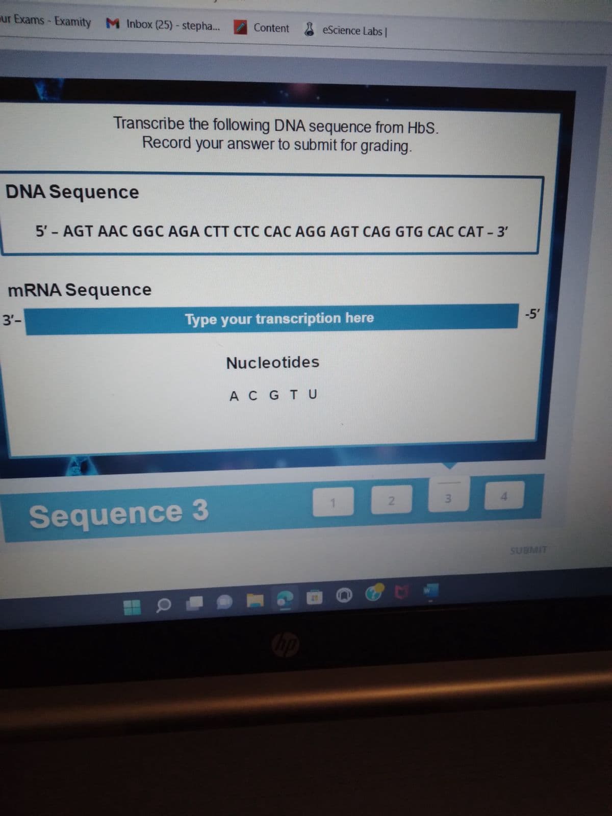 ur Exams - Examity M Inbox (25) - stepha...
DNA Sequence
3'-
Transcribe the following DNA sequence from HbS.
Record your answer to submit for grading.
mRNA Sequence
Content
5'- AGT AAC GGC AGA CTT CTC CAC AGG AGT CAG GTG CAC CAT - 3'
Sequence 3
Type your transcription here
eScience Labs
Nucleotides
A CGT U
hp
2
3
4
-5'
SUBMIT