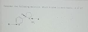 Consider the following molecule. which Natos is more basic, A or B?
CH
A