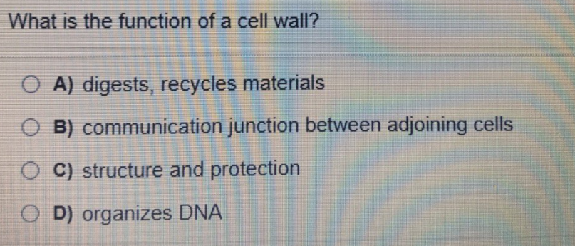 What is the function of a cell wall?
O A) digests, recycles materials
O B) communication junction between adjoining cells
C) structure and protection
O D) organizes DNA
